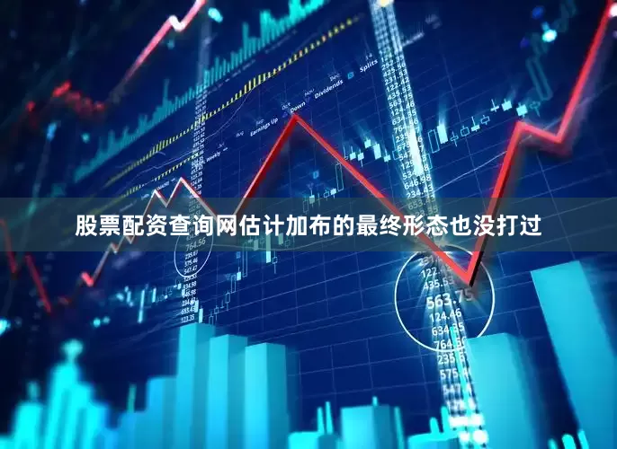 股票配资查询网估计加布的最终形态也没打过