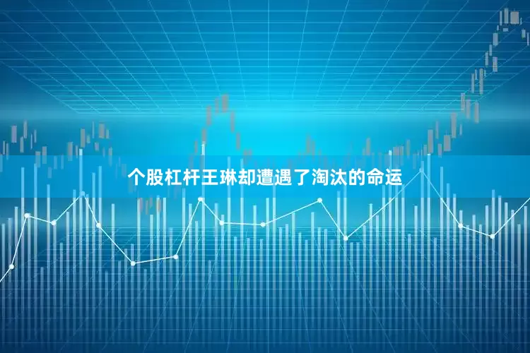 个股杠杆王琳却遭遇了淘汰的命运