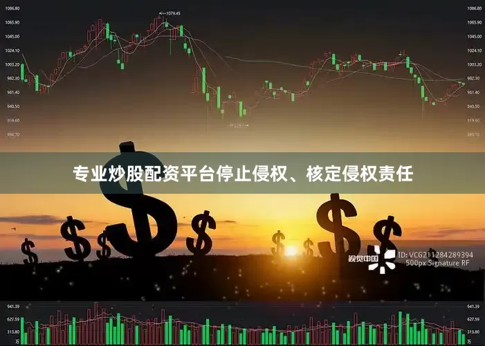 专业炒股配资平台停止侵权、核定侵权责任