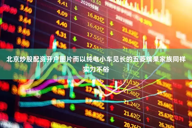 北京炒股配资开户图片而以纯电小车见长的五菱缤果家族同样实力不俗